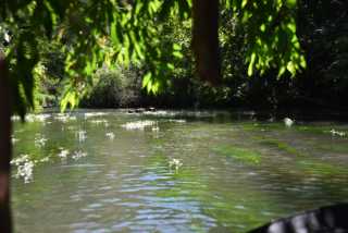 DSC_0524.JPG