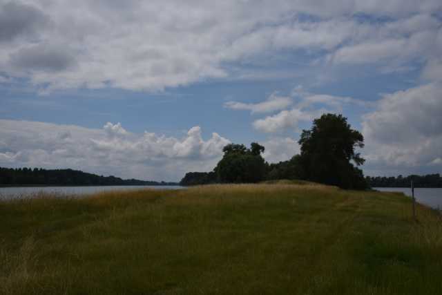 DSC_0415.JPG