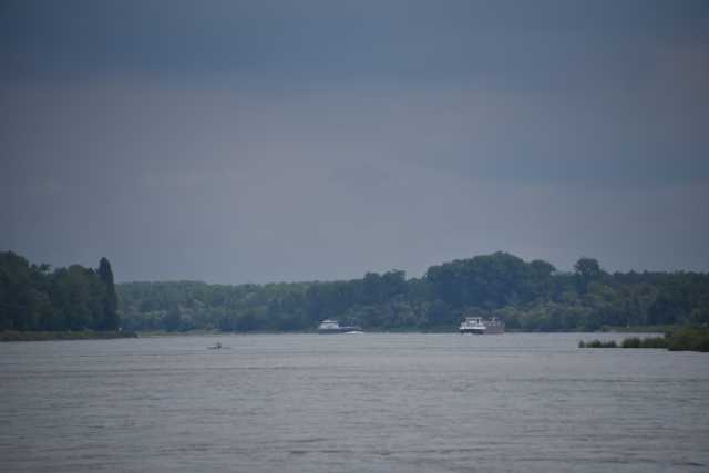 DSC_0420.JPG