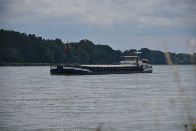 DSC_0424.JPG
