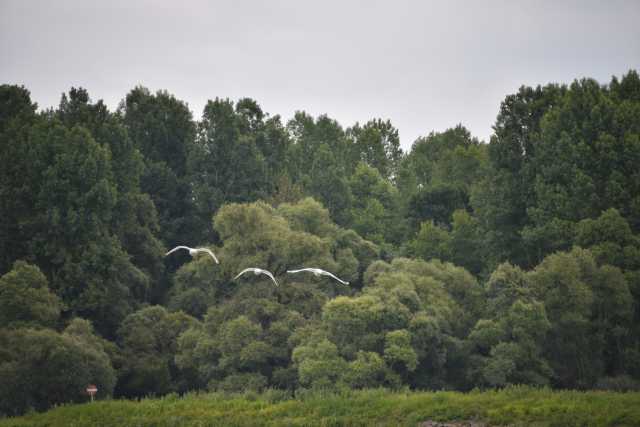 DSC_0431.JPG