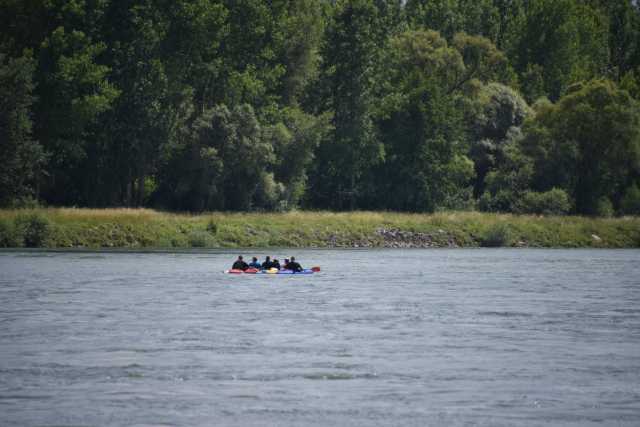 DSC_0447.JPG