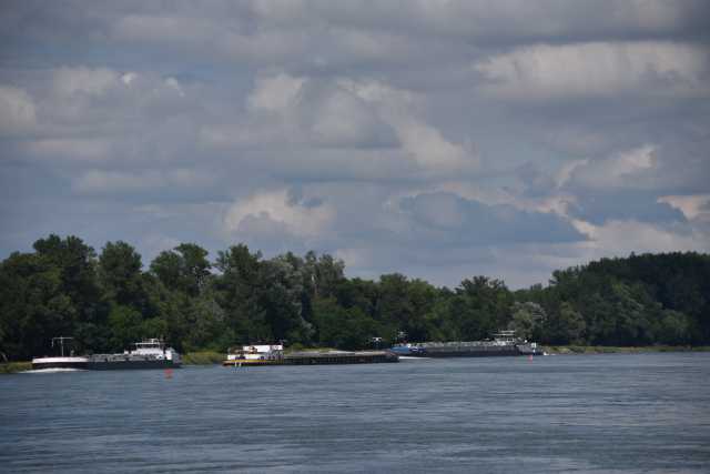 DSC_0464.JPG