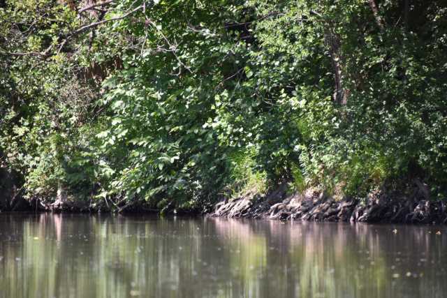 DSC_0465.JPG