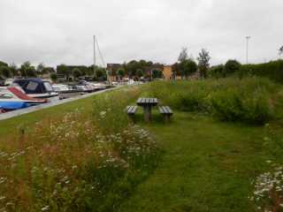 DSCN3560.JPG
