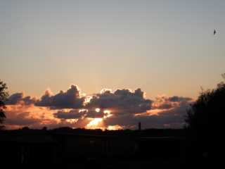 DSCN3625.JPG