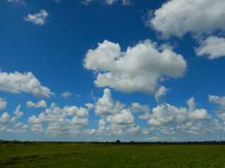 DSCN3648.JPG