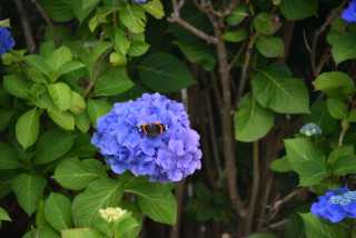 DSC_0642.JPG