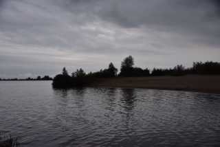 DSC_0702.JPG