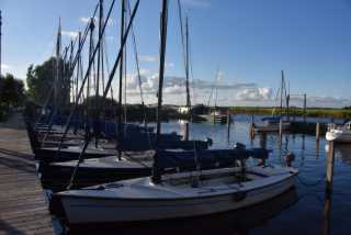DSC_0738.JPG