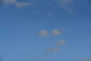 DSC_0764.JPG
