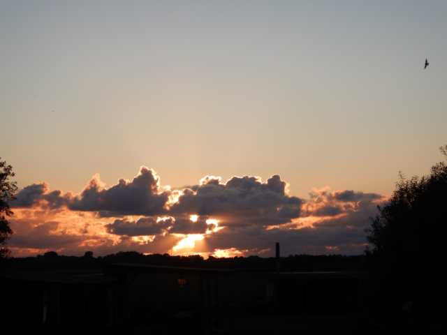 DSCN3625.JPG