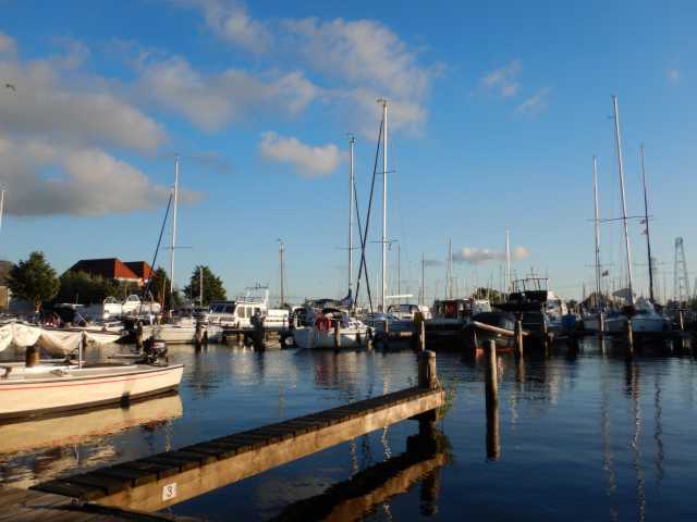 DSCN3667.JPG