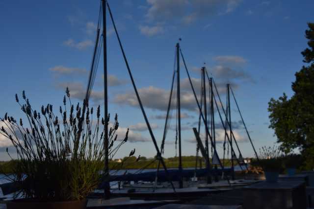 DSC_0749.JPG
