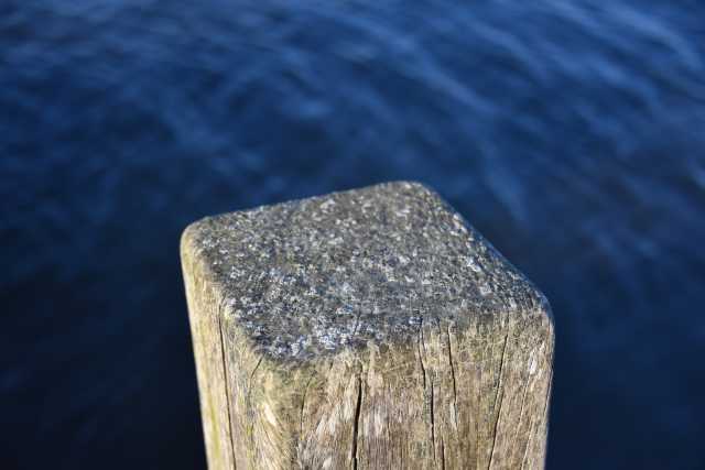 DSC_0757.JPG