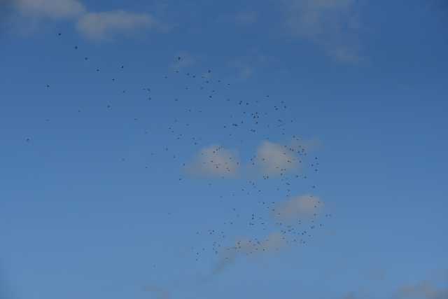DSC_0764.JPG