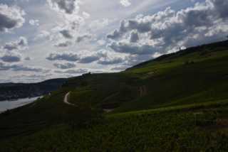 DSC_0836.JPG