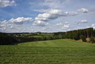 DSC_0916.JPG