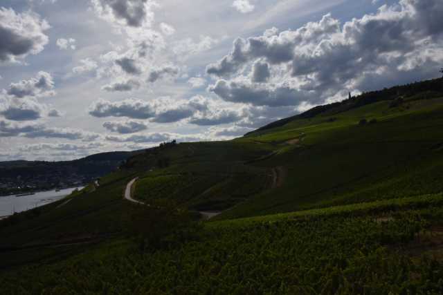 DSC_0836.JPG