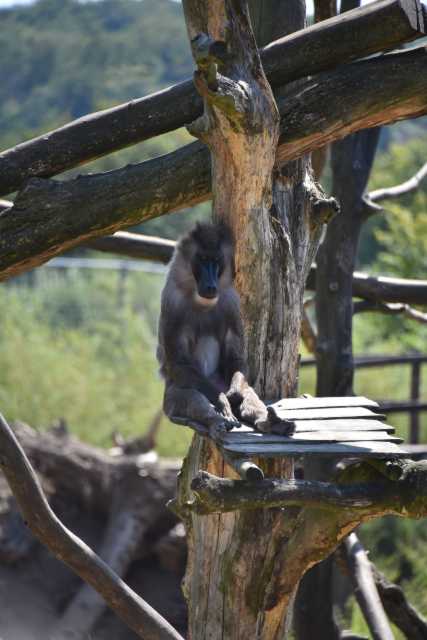 DSC_0935.JPG
