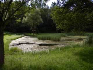 DSCN3992.JPG