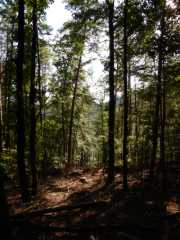 DSCN4008.JPG