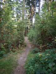 DSCN4010.JPG