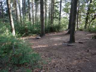 DSCN4011.JPG