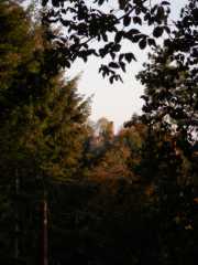 DSCN4019.JPG