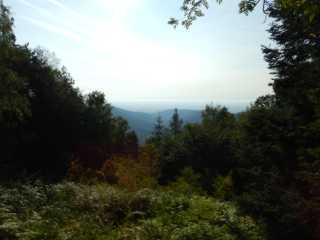 DSCN4020.JPG