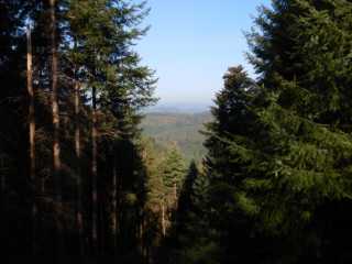 DSCN4022.JPG