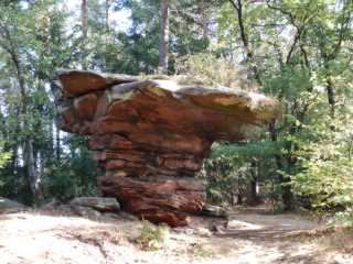 DSCN4024.JPG