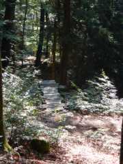 DSCN4025.JPG