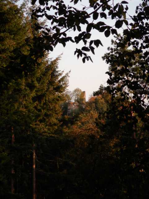 DSCN4019.JPG