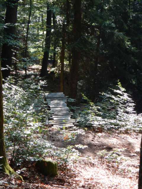 DSCN4025.JPG