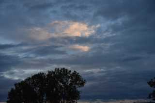 DSC_1039.JPG