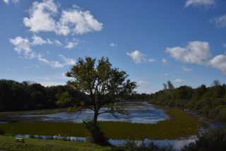DSC_1092.JPG