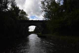 DSC_1106.JPG