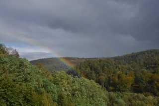 DSC_1297.JPG