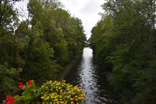 DSC_1341.JPG