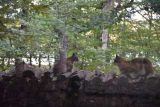 DSC_1479.JPG