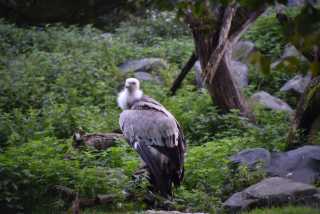DSC_1506.JPG