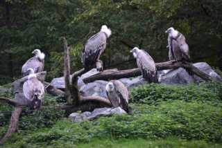 DSC_1507.JPG