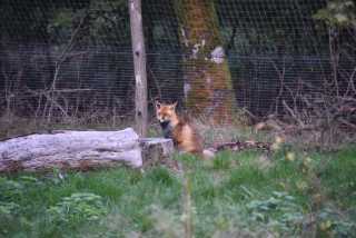 DSC_1511.JPG