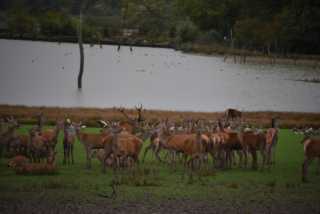 DSC_1601.JPG