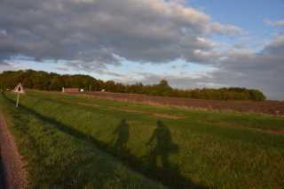 DSC_1647.JPG