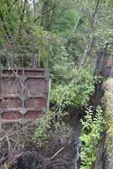 DSC_1732.JPG