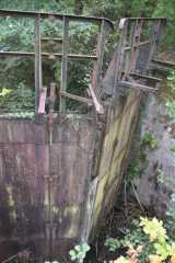 DSC_1736.JPG