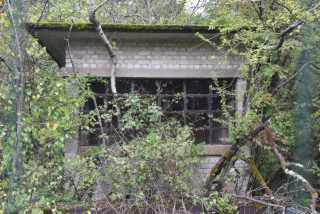 DSC_1737.JPG