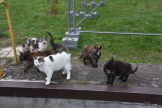 DSC_1748.JPG